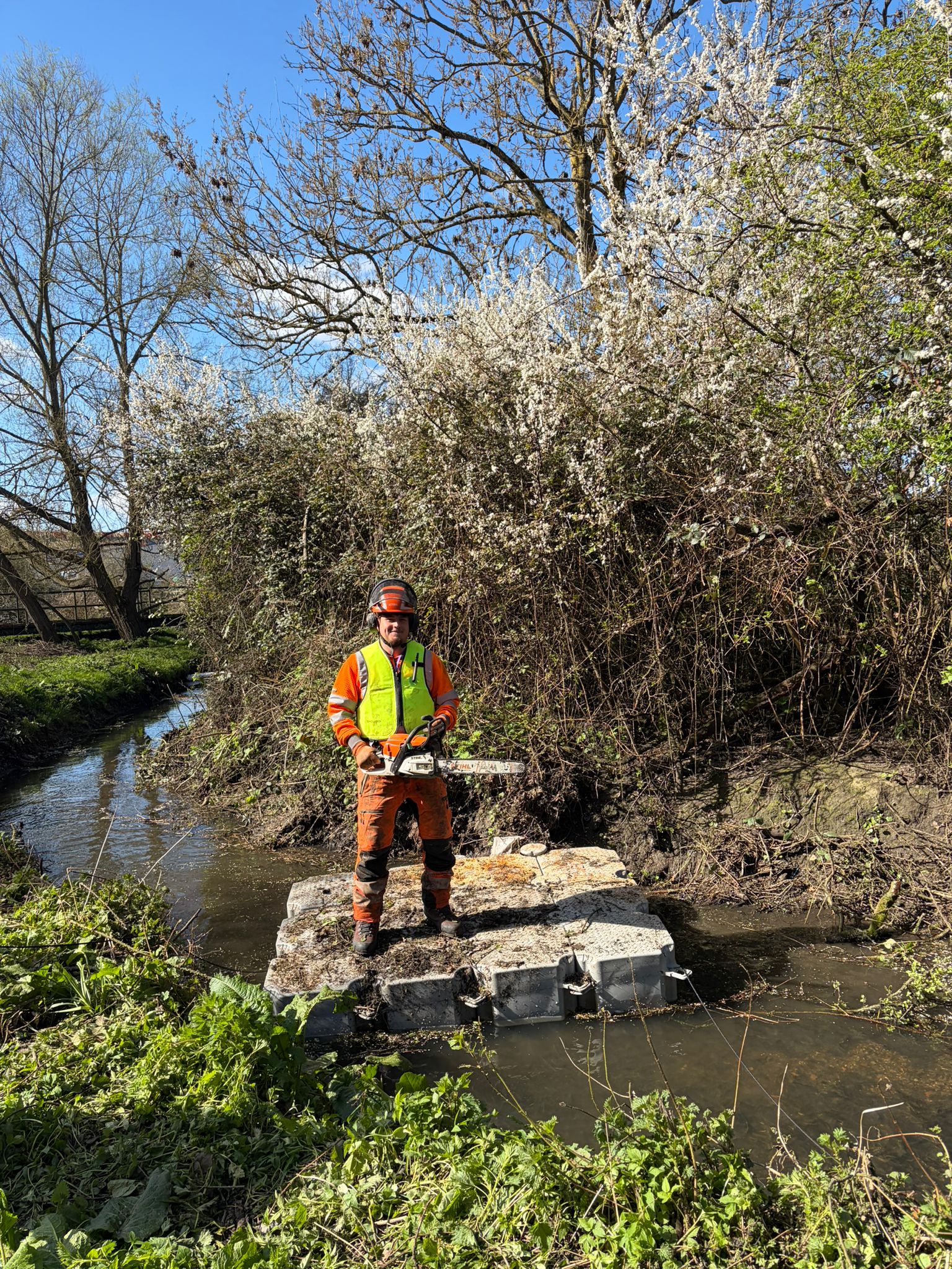 Tree worker with chainsaw beside a flowering stream